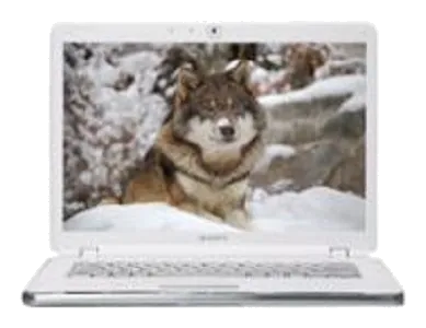Ремонт VAIO VGN-AR520E