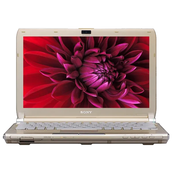 Ремонт VAIO VGN-TT4MRG