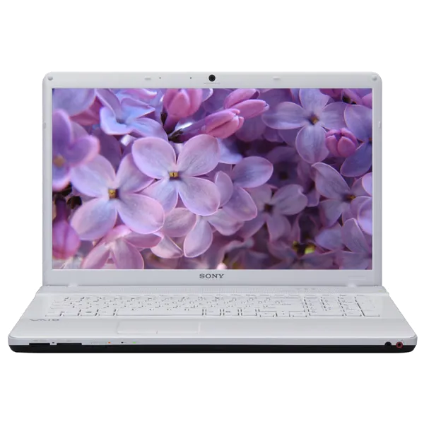 Ремонт VAIO VPC-EC2M1R/WI