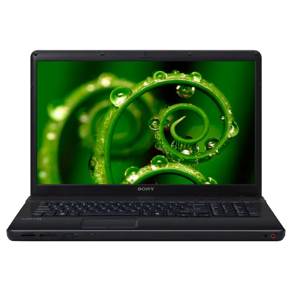 Ремонт VAIO VPC-EC2S1R/BJ