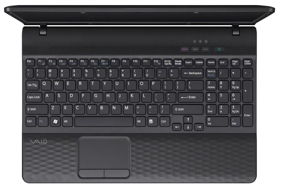 Ремонт VAIO VPC-EH2M1R